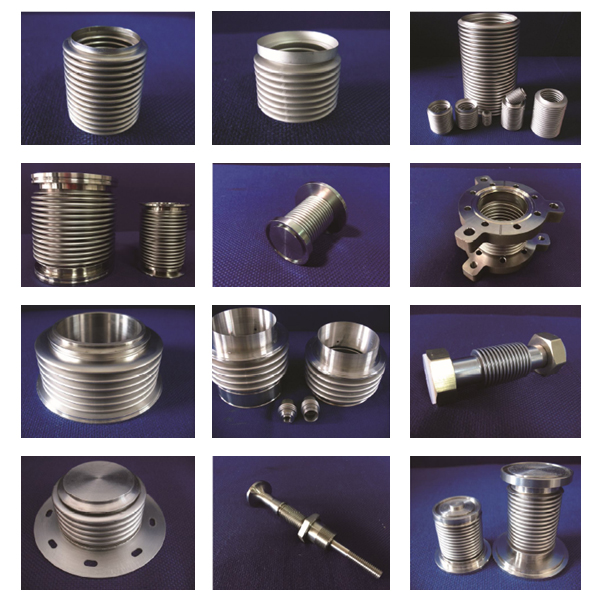 �x���x�����y��ϵ��